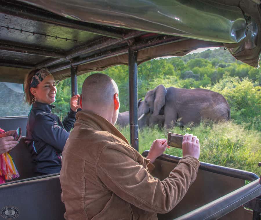 From St Lucia: iSimangaliso Wetland Park Night Drive Safari - The night sky part: using darkness without wasting it