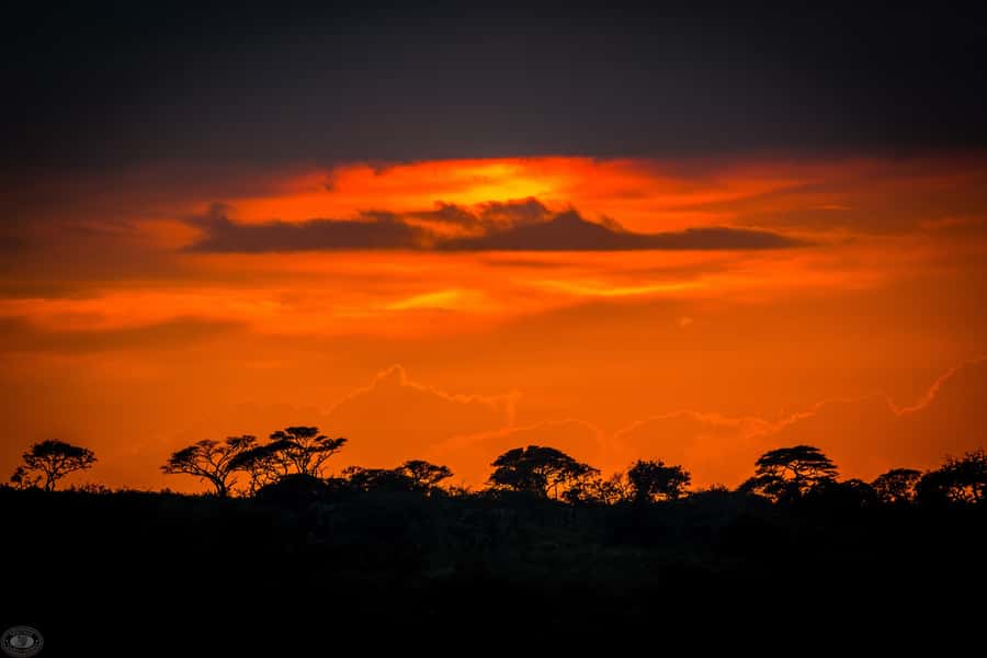 From St Lucia: iSimangaliso Wetland Park Night Drive Safari - What the 3-hour format gets right (and where it can feel short)