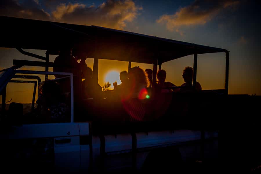From St Lucia: iSimangaliso Wetland Park Night Drive Safari - Timing and pickup: 7:00 PM or 8:00 PM, then straight into night