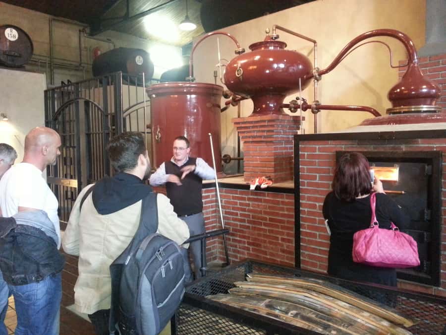 From Stellenbosch: Hop-On Hop-Off Wine Tour Southern Route - Pickup, timing, and the one rule that makes or breaks your day