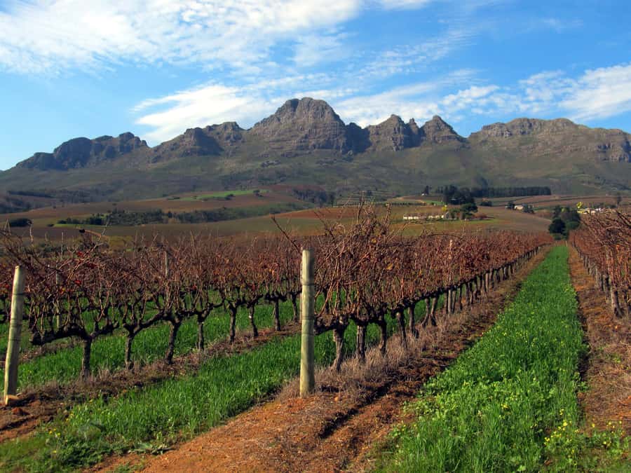 From Stellenbosch: Hop-On Hop-Off Wine Tour Southern Route - Price and value: what the $29 actually covers