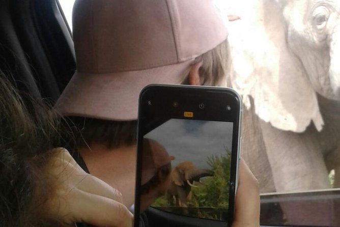 Full Day Addo Elephant National Park Safari wit BBQ:Thentic Tours - Guides Make the Difference, Especially When Weather Turns