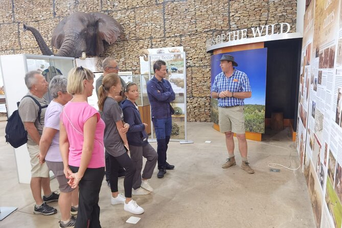 Full-Day Addo Elephant Park & Giraffe Walk - Weather, timing, and how to avoid the biggest day-killer