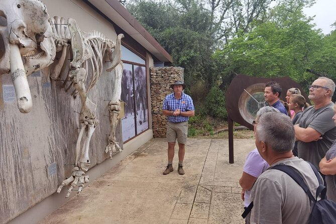 Full-Day Addo Elephant Park & Giraffe Walk - Greater Addo and the giraffe walk on foot at a private reserve