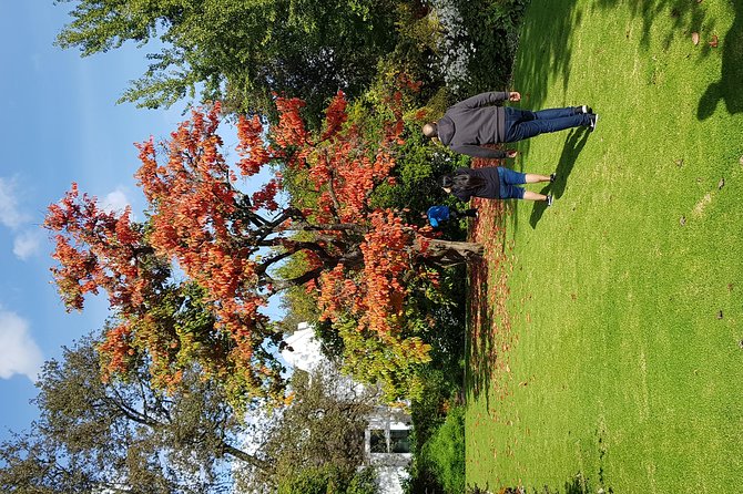 Full Day Afrivista Wine Tours from Stellenbosch - From central Stellenbosch to the first pour, 9:30 start