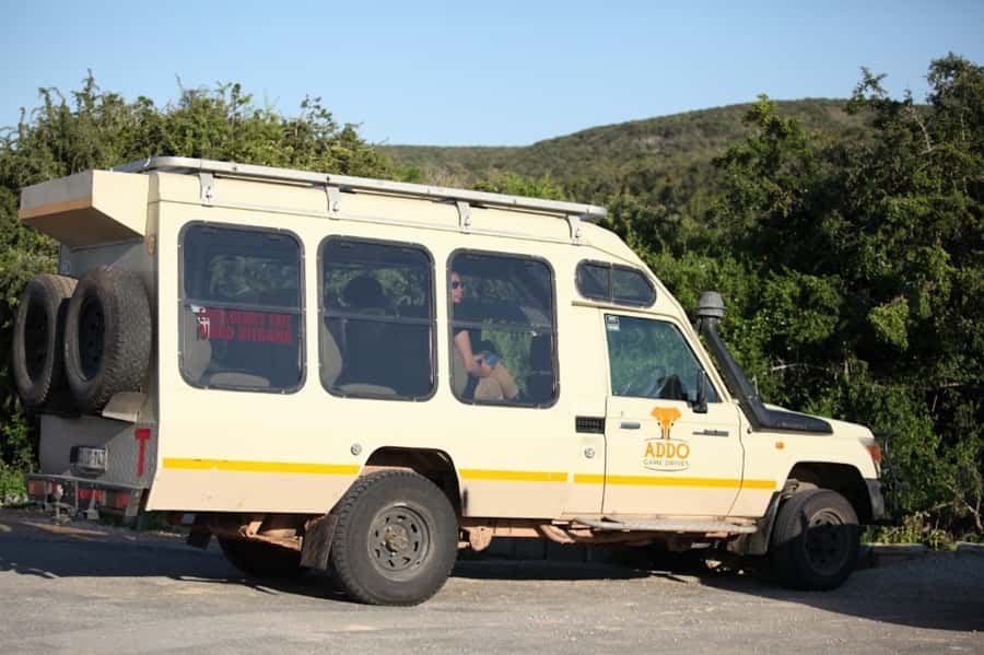 Full-Day All Inclusive Safari with Traditional Braai Lunch - Addo Elephant National Park, in one long, well-paced day