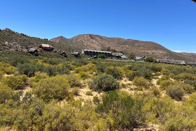 Full day Aquila Game Reserve Big 5 Safari with Wine Tasting Tour - Should you book this Aquila Big Five and Fairview wine day?