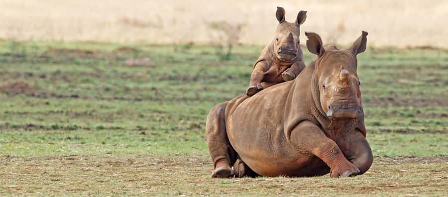 Full Day Aquila Safari (German) - Breakfast and welcome drinks, before the game drive starts
