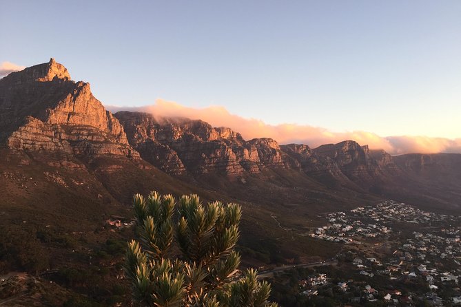 Full-Day Best of the Cape, Peninsula, Cape Point and Stellenbosch Tour - Boulders Beach Penguins, Optional but Memorable