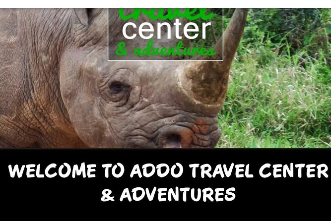 Full day big 5 addo Safari - Your day on the safari: how the drive and stops usually play out