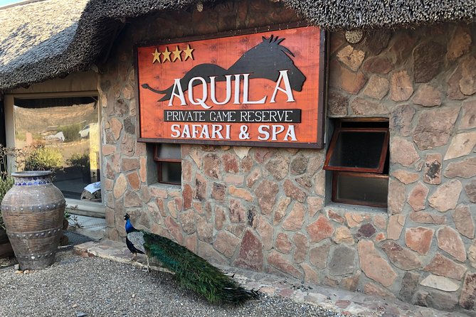 Full Day Big 5 Aquila Safari Private Transfers Including Park Fee From Cape Town - Fairview wine and cheese: a short, easy win on the return trip