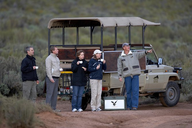 Full Day Big 5 Aquila Safari Private Transfers Including Park Fee From Cape Town - Price and value: is $345.08 per person “fair”?