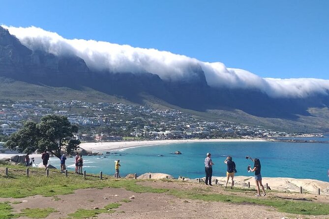 FULL Day Cape of Good Hope and Boulders Penguin Colony - Hout Bay and Duiker Island: Mountains, Harbor Energy, and Optional Seal Time