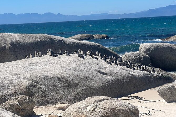 Full-Day Cape of Good Hope and Table Mountain with Penguins Tour - Start Smart in Cape Town, with Pickup and a Quick City Orientation