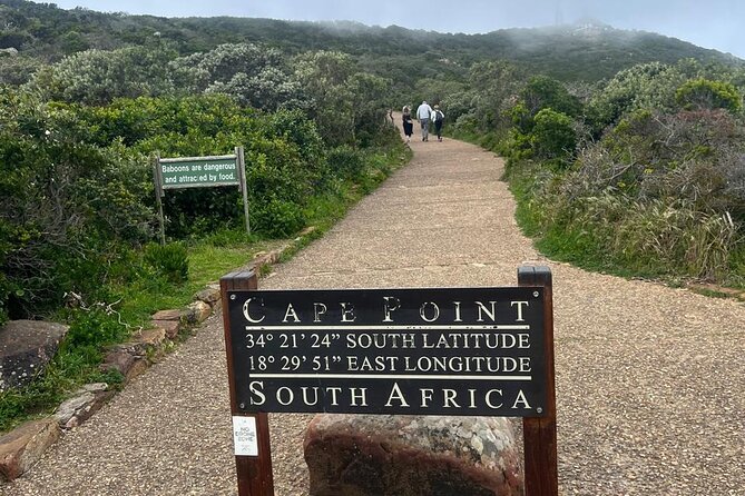 Full-Day Cape of Good Hope and Table Mountain with Penguins Tour - Table Mountain Aerial Cableway: Flat-Top Views When Conditions Are Right