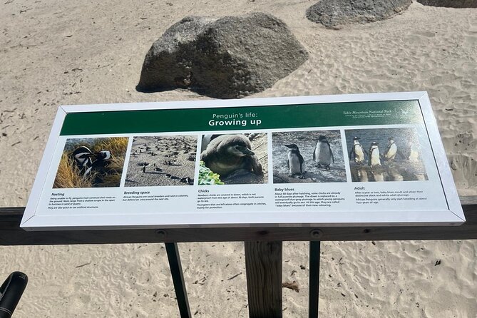 Full-Day Cape of Good Hope and Table Mountain with Penguins Tour - Chapmans Peak Drive: Short Stop, Strong Impressions