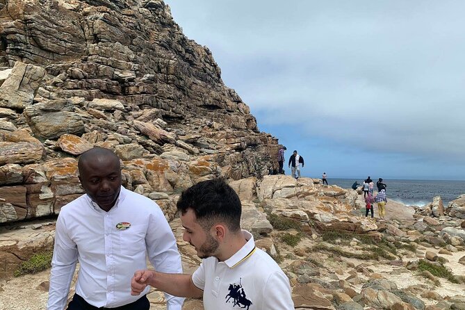 Full Day Cape of Good Hope & Boulder's Beach Penguin Private Tour - The big idea: a Peninsula highlights day, without the rental-car stress