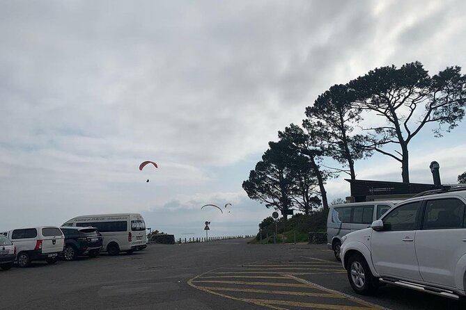 Full Day Cape of Good Hope-Cape Point Group Tour from Cape Town - Noordhoek Farm Village for Coffee, Wine, and Lunch Choices