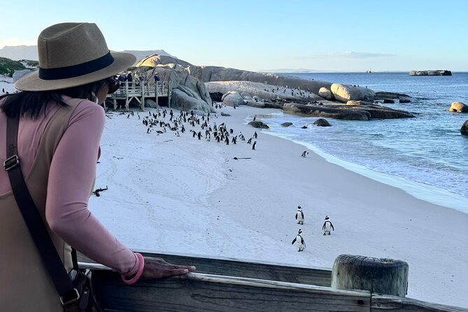 Full Day Cape Peninsula, Bo Kaap & Penguins Small Group Tour - Boulders Beach Penguin Colony: Boardwalk Viewing Done Right