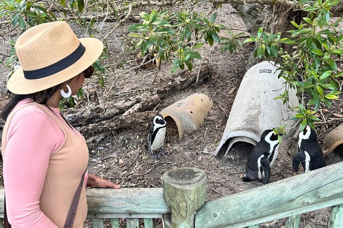 Full Day Cape Peninsula, Bo Kaap & Penguins Small Group Tour - Price and Value: Why This Tour Can Be a Good Deal