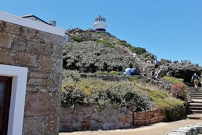 Full Day Cape Peninsula, Cape Point Tour - Hout Bay First Stop, With a Real Seal Island Choice