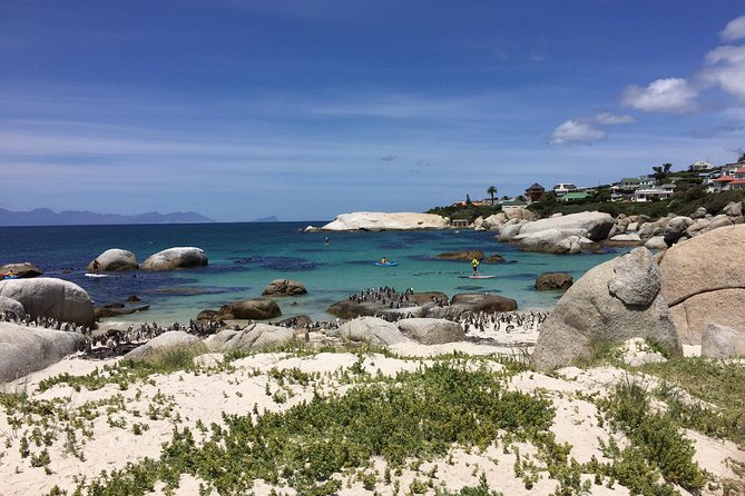 Full Day Cape Peninsula Motorcycle Tour on a Royal Enfield - Simon’s Town, Kalk Bay, and the coastal town rhythm