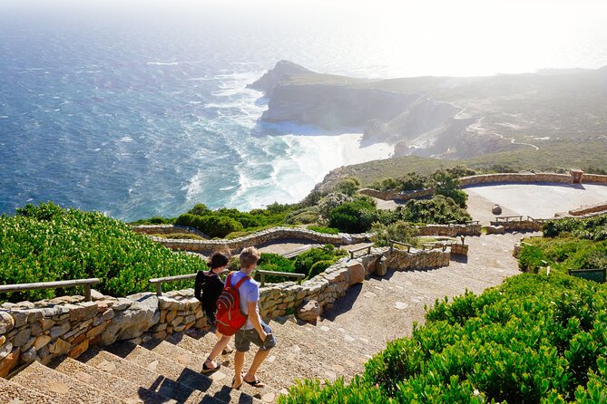 Full Day Cape Peninsula Tour - Morning in Hout Bay: Chapman’s Peak and seal-friendly break time