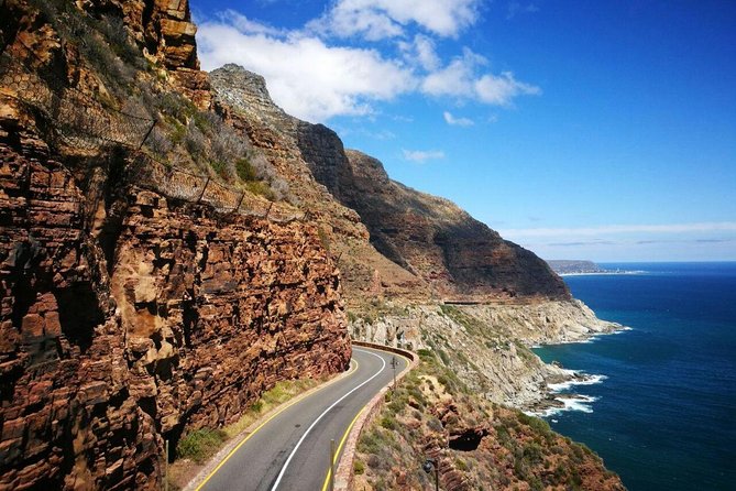 Full-Day Cape Peninsula Tour from Cape Town - Price and Logistics: Is $113.88 Good Value?