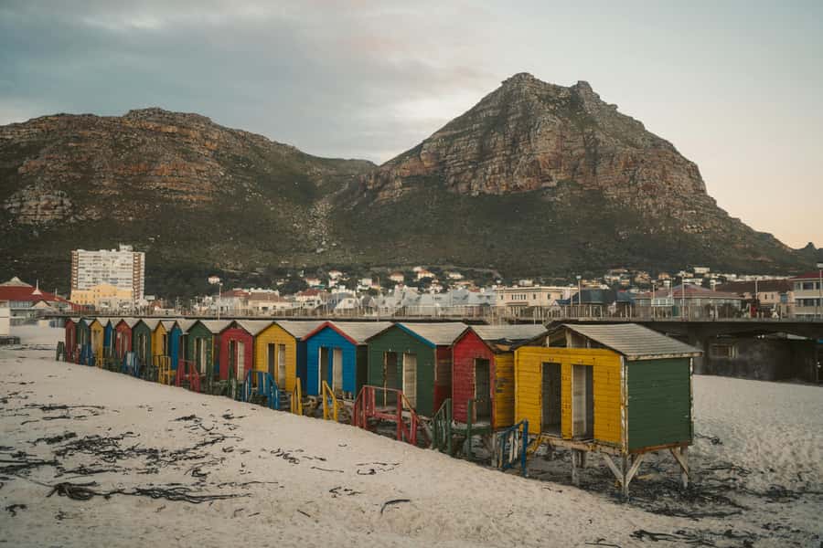 Full day Cape Penisula Tour: Chapman's Peak - Cape Point - Muizenberg and Kalk Bay, Two Coastal Stops That Add Texture