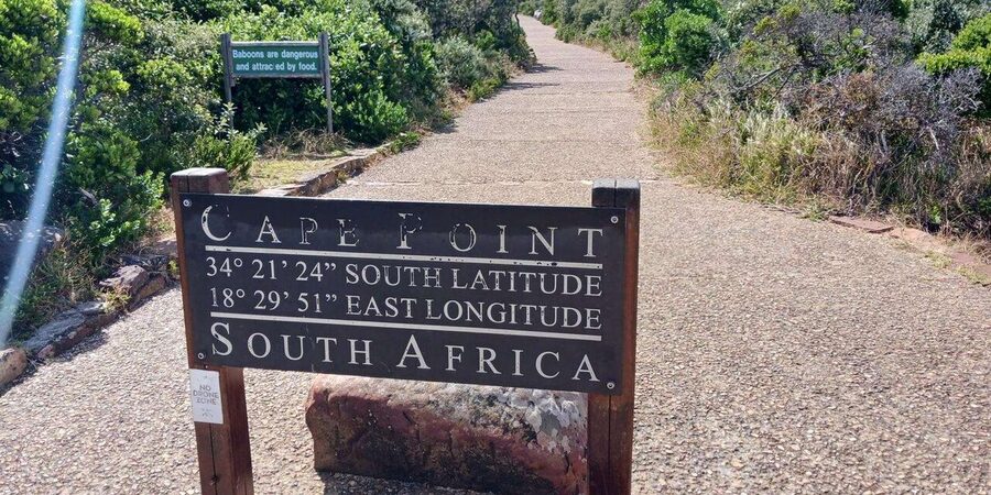Full Day - Cape Point and Penguins Plus Table Mountain - Boulders Beach and the moment you spot the penguins