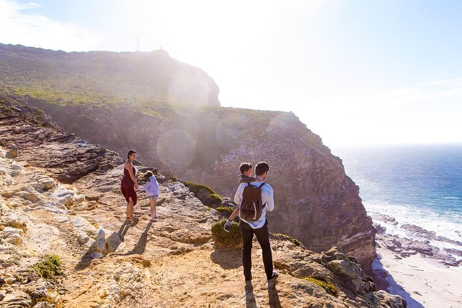 Full day Cape Point + Constantia Wine Tour with Private Transfer - Price and value: what you’re really paying for at $268.41 per person