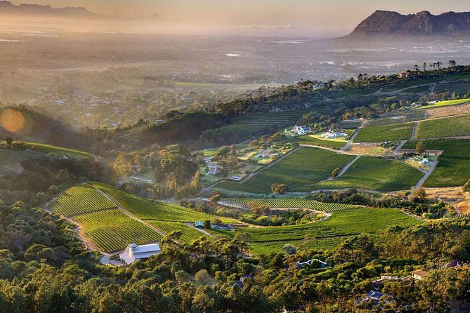 Full day Cape Point + Constantia Wine Tour with Private Transfer - Cape of Good Hope Reserve and Cape Point lighthouse walks