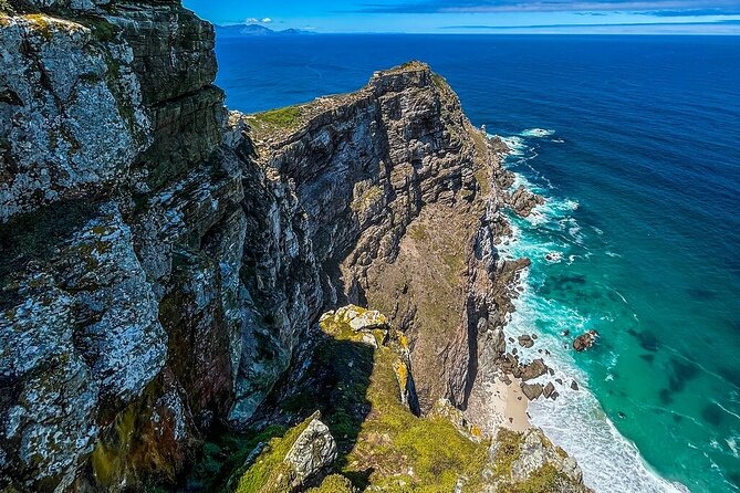 Full Day Cape Point Sightseeing Tour - Boulders Beach penguins: your hour on the sand