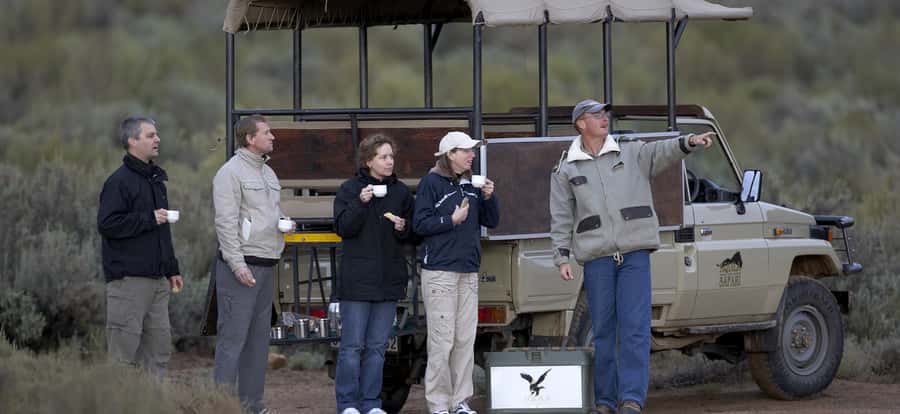 Full Day Cape Town Safari - FAQ