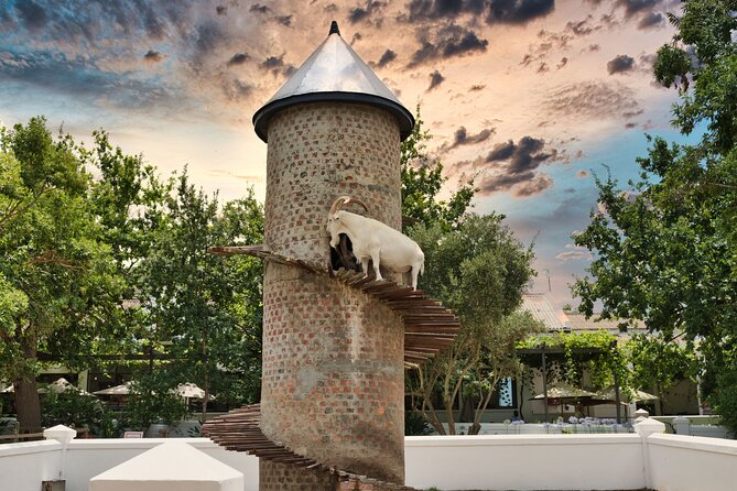Full Day Cape Winelands Private Tour - Lunch at La Petite Ferme: a real sit-down meal in the gourmet capital