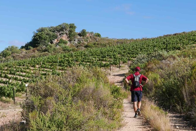 Full-Day Cape Winelands Tour - Key highlights to look for
