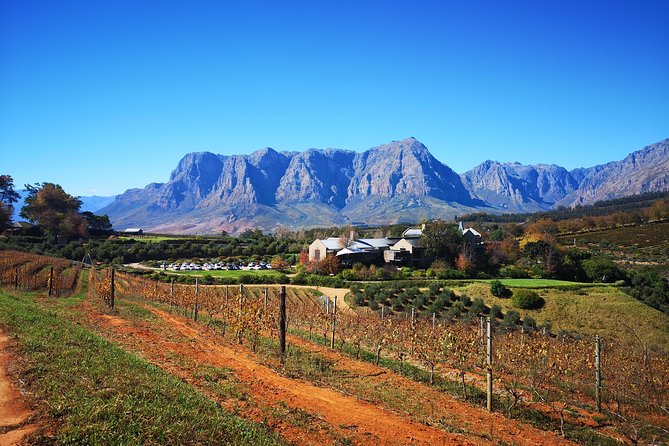 Full-Day Chocolate, Cheese, Olive and Wine Tour from Stellenbosch - The day flow: pickup, timing, and small-group comfort