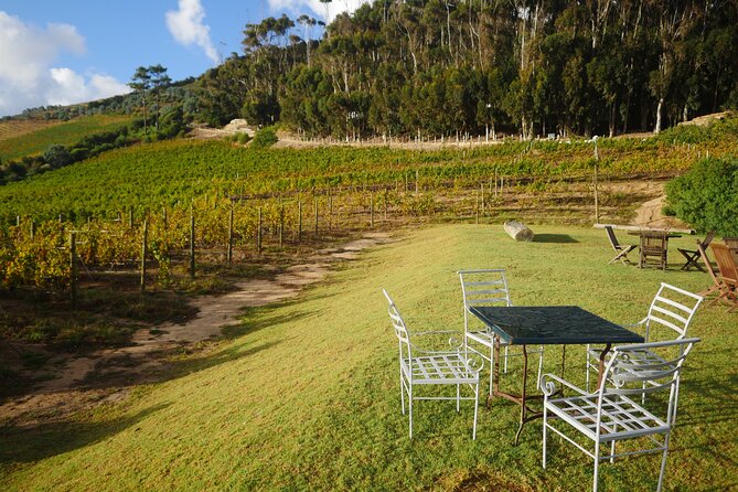 Full-Day Constantia Wine Tour from Cape Town - Who should book this Constantia wine tour from Cape Town?