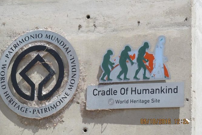 Full-Day Cradle of Human Kind and caves private - The Drive North and How the Guide Helps You Read the Day