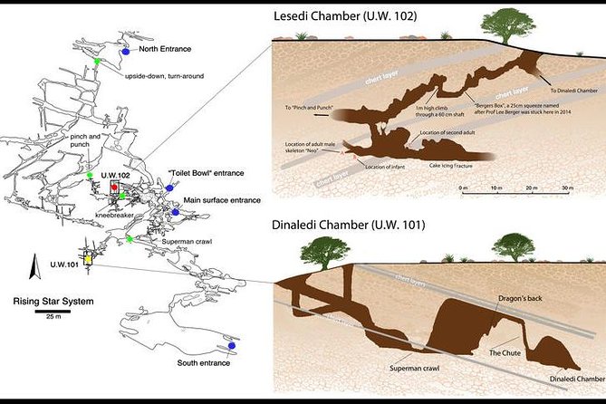 Full-Day Cradle of Humankind Guided Tour from Johannesburg or Pretoria - Why the Cradle of Humankind day feels different than a basic museum loop