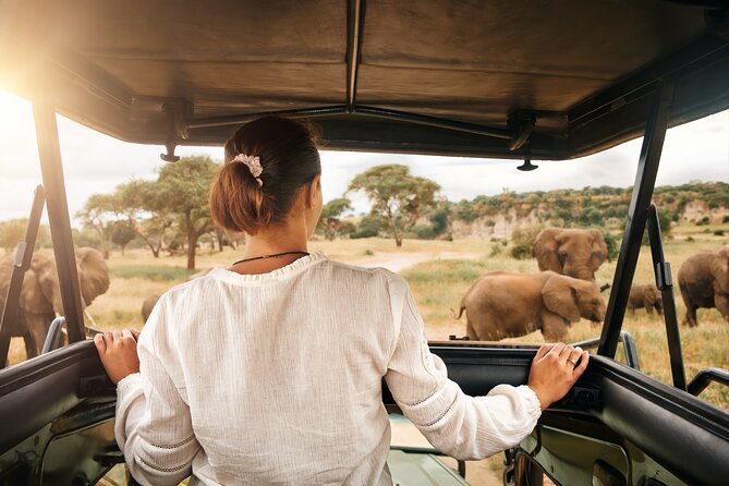 Full Day Exquisite Pilanesberg Safari from Johannesburg - Key Points I’d Bookmark Before You Go