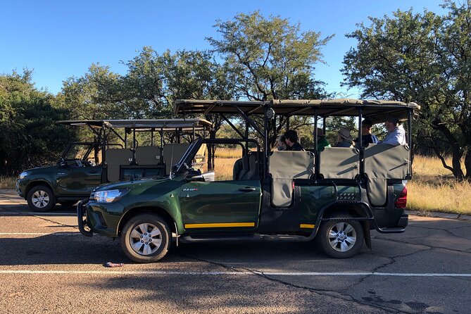 Full Day Exquisite Pilanesberg Safari from Johannesburg - Afternoon Safari: More Chances, Different Light