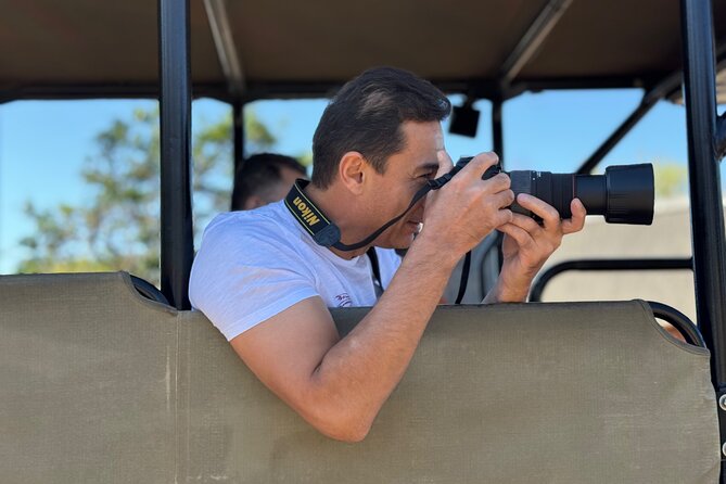 Full Day Exquisite Pilanesberg Safari from Johannesburg - How the Safari Runs: Two Game-Drive Sessions Plus Lunch