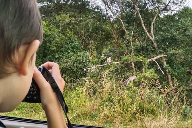 Full-Day Family Hluhluwe iMfolozi Park Safari Experience - Key safari takeaways for families