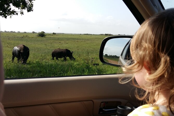 Full-Day Family Hluhluwe iMfolozi Park Safari Experience - The 6:00 am start and the 8 to 9 hour day plan