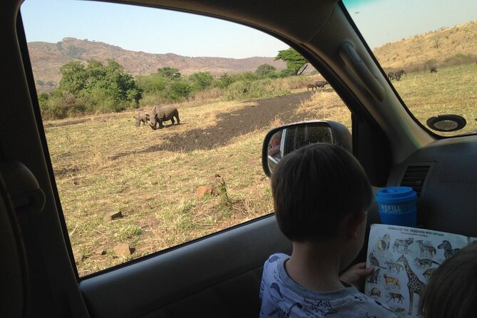 Full-Day Family Hluhluwe iMfolozi Park Safari Experience - Inside the wilderness stop: what you’re really searching for