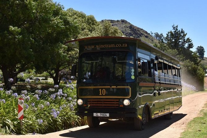 Full-Day Franschhoek Hop On Hop Off Wine Tram Tour from Cape Town - Timing and connections: the only real way to ruin a wine day