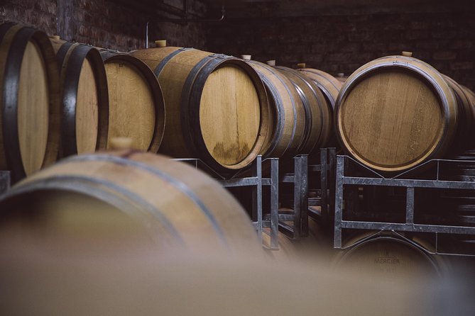 Full-Day Franschhoek Hop On Hop Off Wine Tram Tour from Cape Town - Should you book this tour?