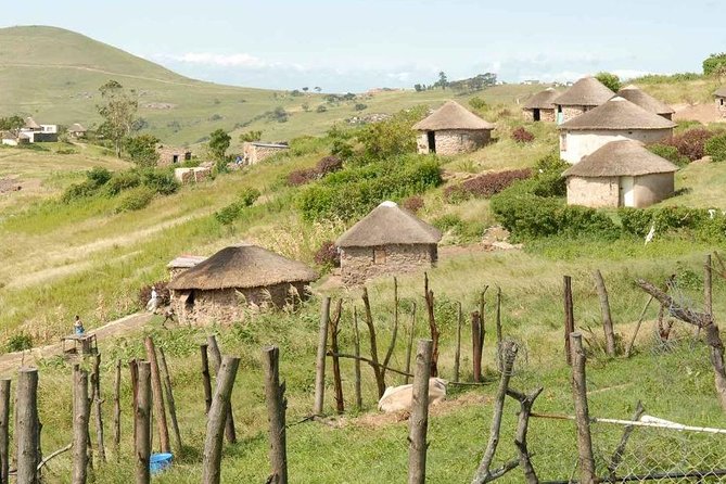Full day - Hluhluwe Imfolozi Game Reserve 1 Day Tour From Durban - What the 4x4 Game Drive Feels Like in Real Life