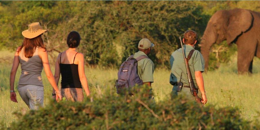 Full Day Hluhluwe Imfolozi Game Reserve Tour from Durban - Who this safari suits, and who might want a different plan